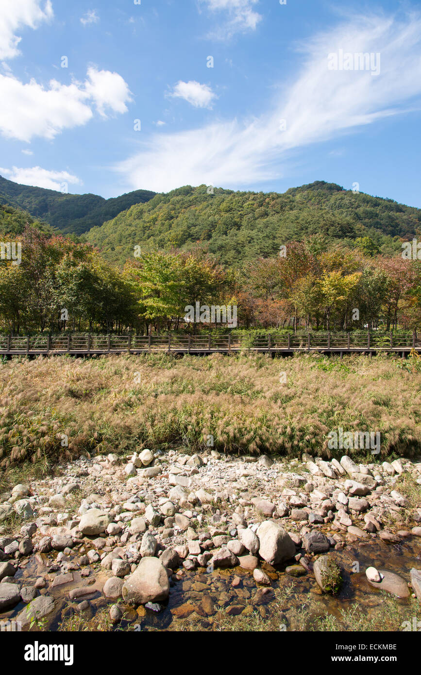 Terrasse en bois avec chemin d'arrière-plan la montagne près d'un petit ruisseau Banque D'Images