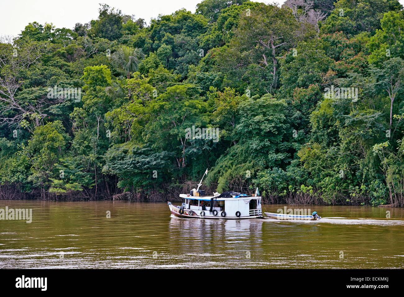 Le Brésil, l'état d'Amazonas, bassin du fleuve Amazone, en bateau sur la rivière Purus Banque D'Images