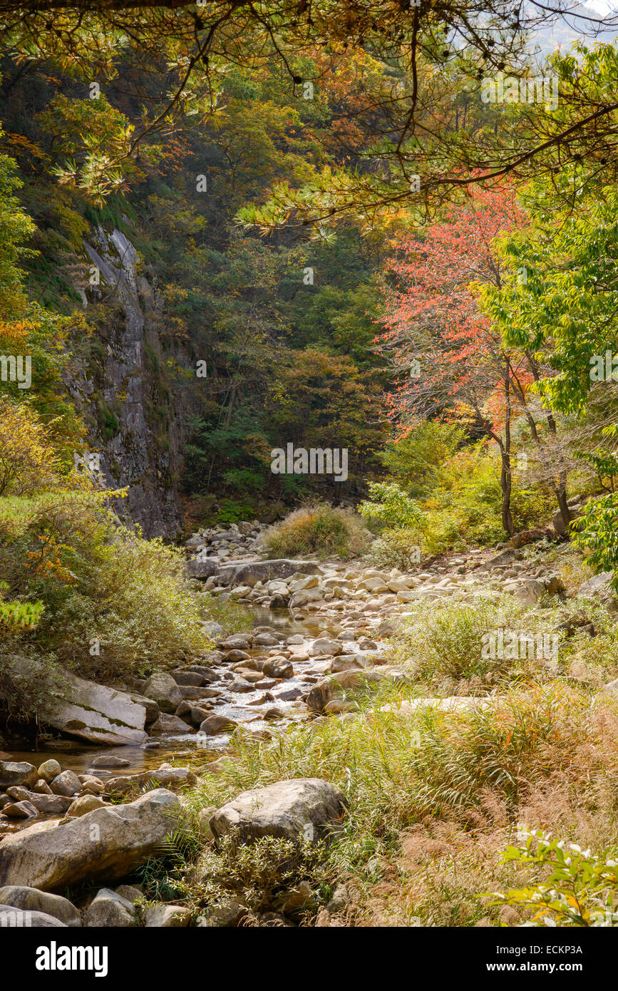 Avis de ruisseau de montagne aux couleurs de l'automne en octobre Banque D'Images