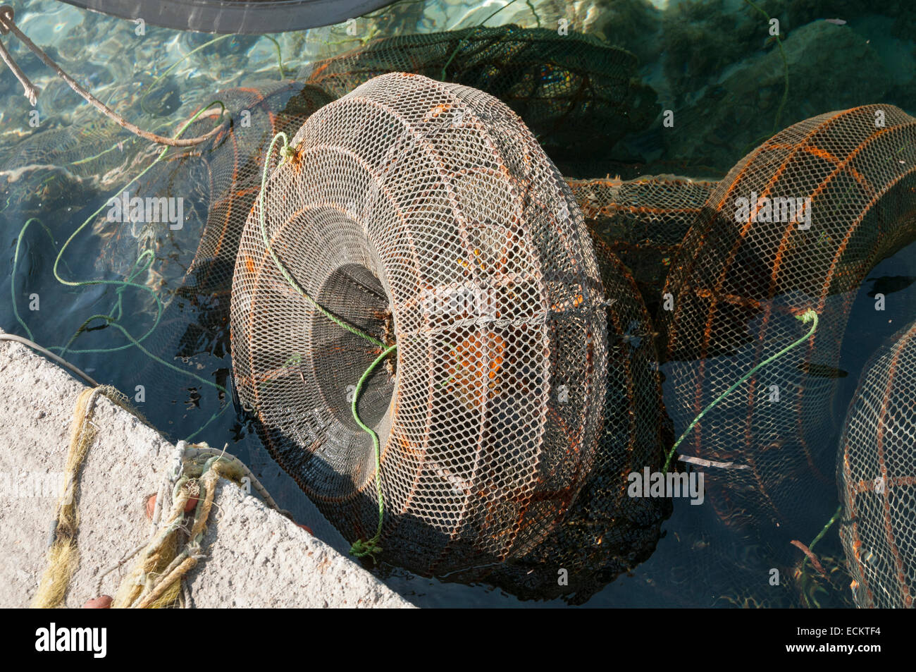 Les filets de pêche sous la forme d'une cage ronde dans l'eau Banque D'Images