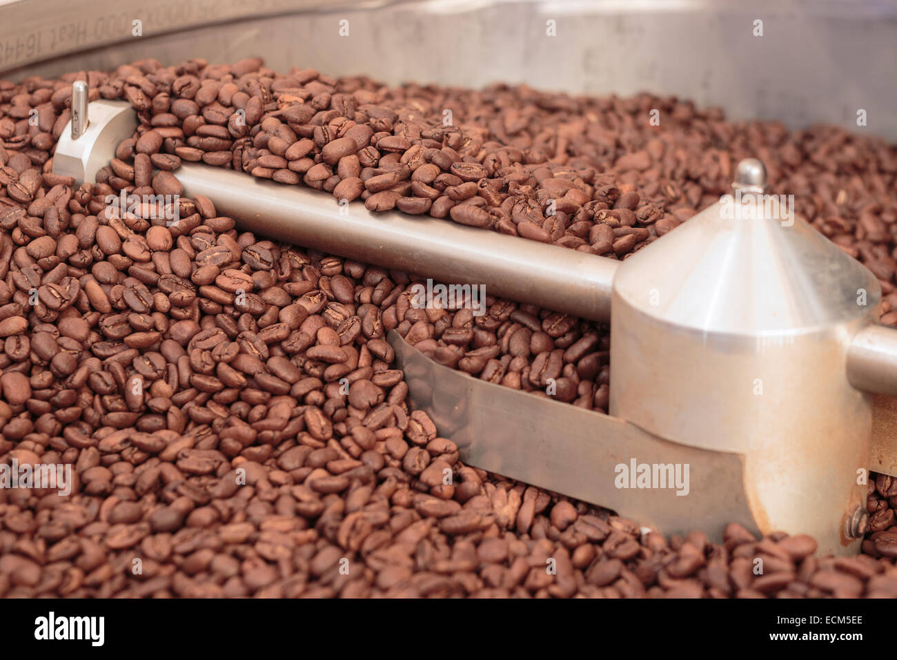 Grains de café dans un refroidisseur en acier inoxydable après torréfaction Banque D'Images