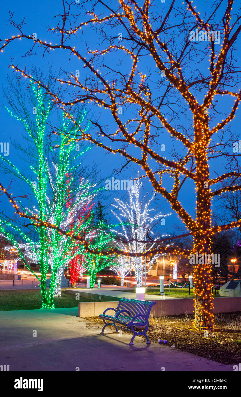 Un banc de parc et arbres lumineux près de l'Hôtel de ville au centre-ville de Brampton, Ontario, Canada. Banque D'Images Un banc de parc et arbres lumineux près de l'Hôtel de ville au centre-ville de Brampton, Ontario, Canada. Banque D'Images