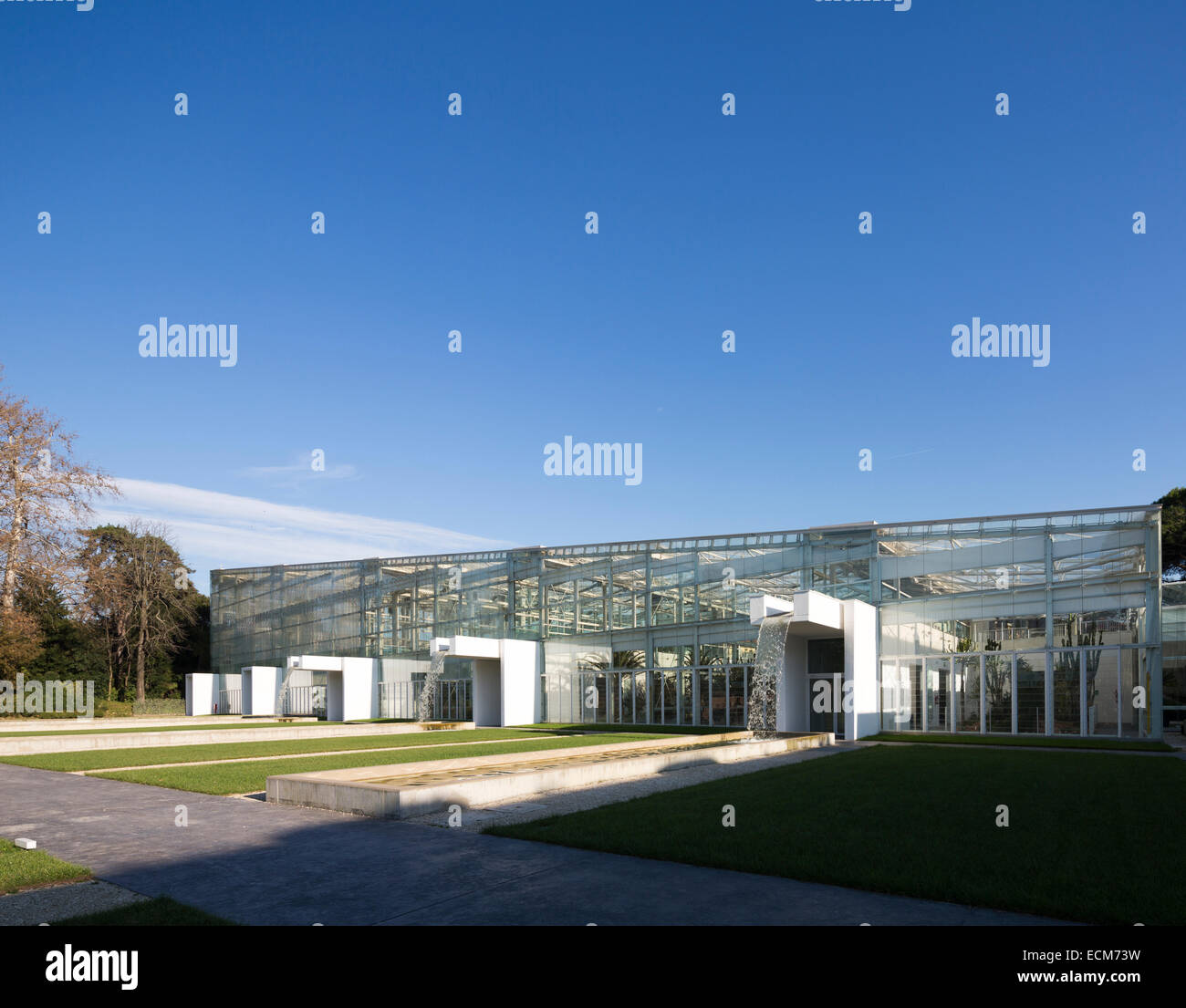 Serre de l'Orto Botanico di Padova, l'Botannical Garden à Padoue, Italie Banque D'Images