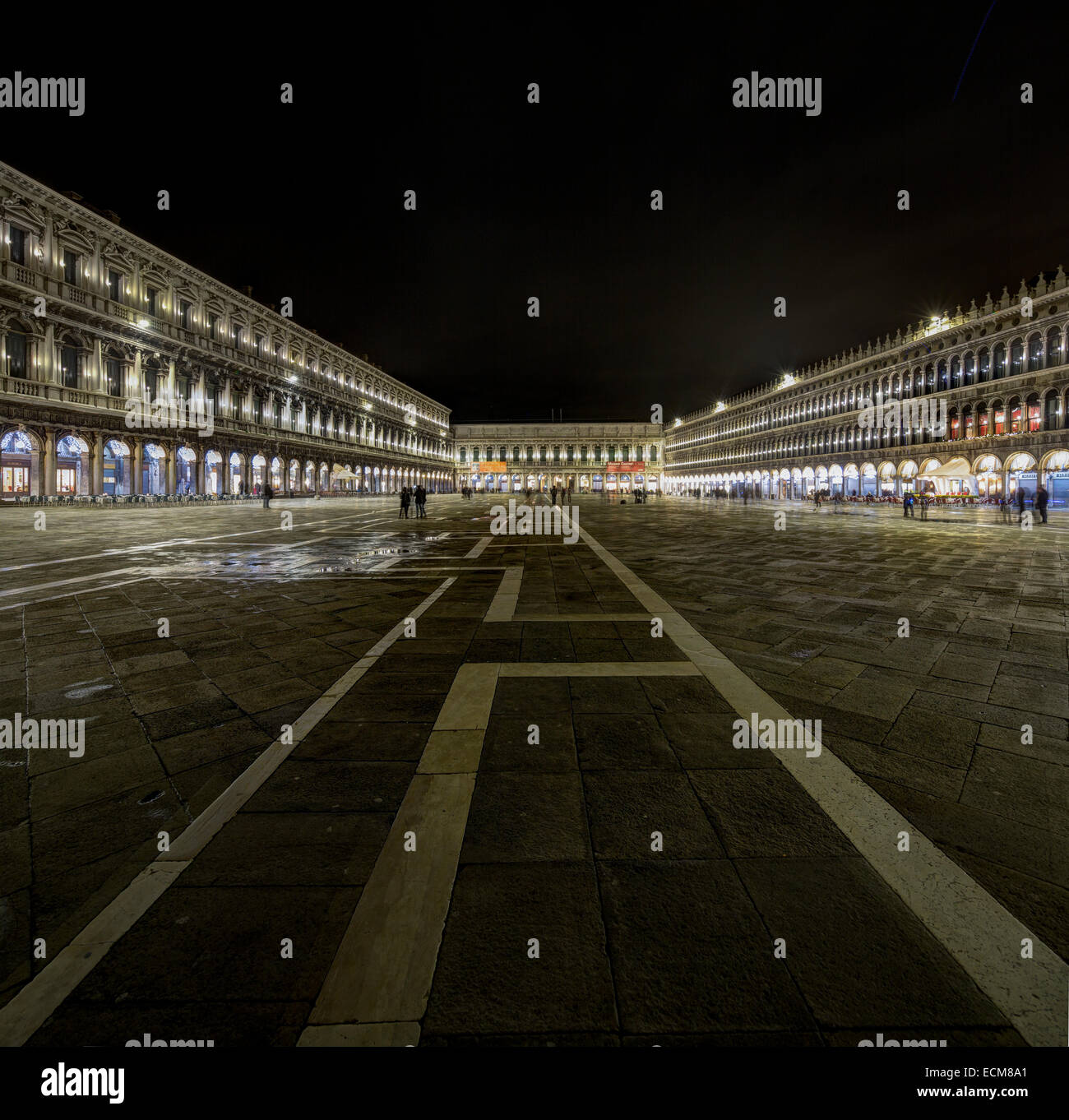 Vue de nuit sur la Piazza San Marco, la Place Saint-Marc, Venise, Italie Banque D'Images