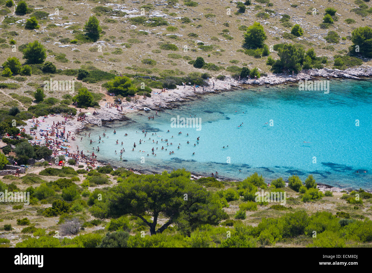 Célèbre plage turquoise Levrnaka dans le Parc National de Kornati, Dalmatie, Croatie Banque D'Images