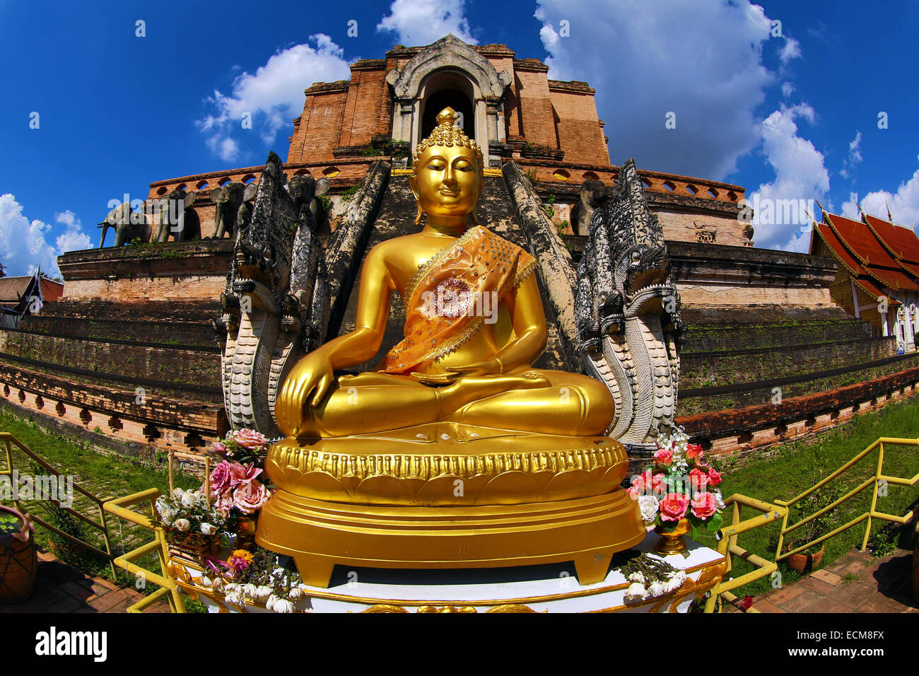 Statue du Bouddha d'or de Wat Chedi Luang temple à Chiang Mai, Thaïlande Banque D'Images