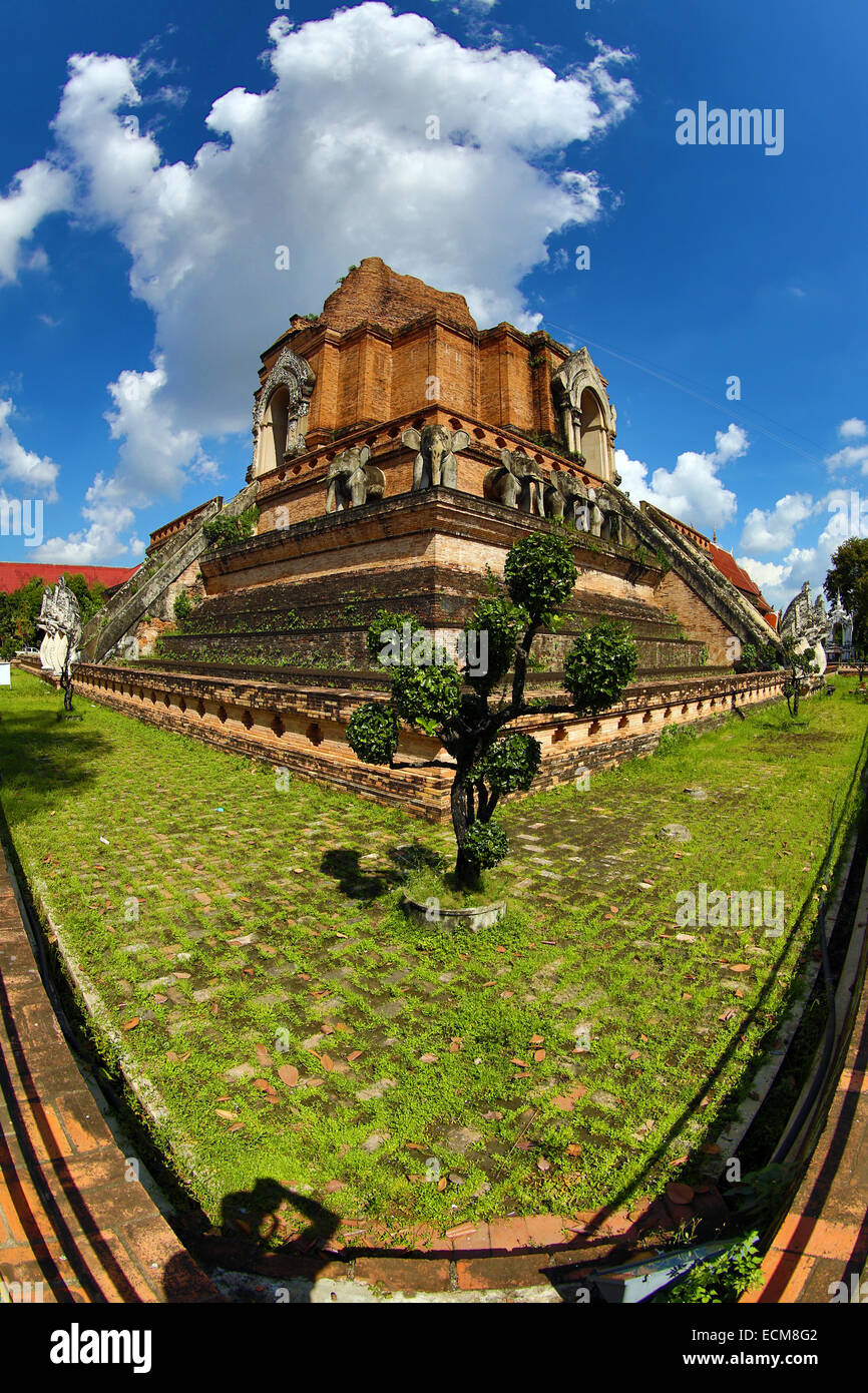 Wat Chedi Luang temple à Chiang Mai, Thaïlande Banque D'Images