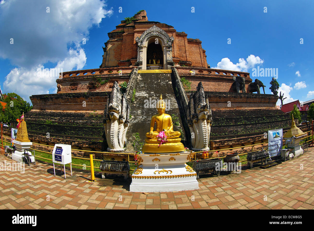 Statue du Bouddha d'or de Wat Chedi Luang temple à Chiang Mai, Thaïlande Banque D'Images