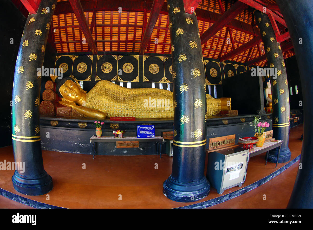 Statue de Bouddha d'or de Wat Chedi Luang temple à Chiang Mai, Thaïlande Banque D'Images