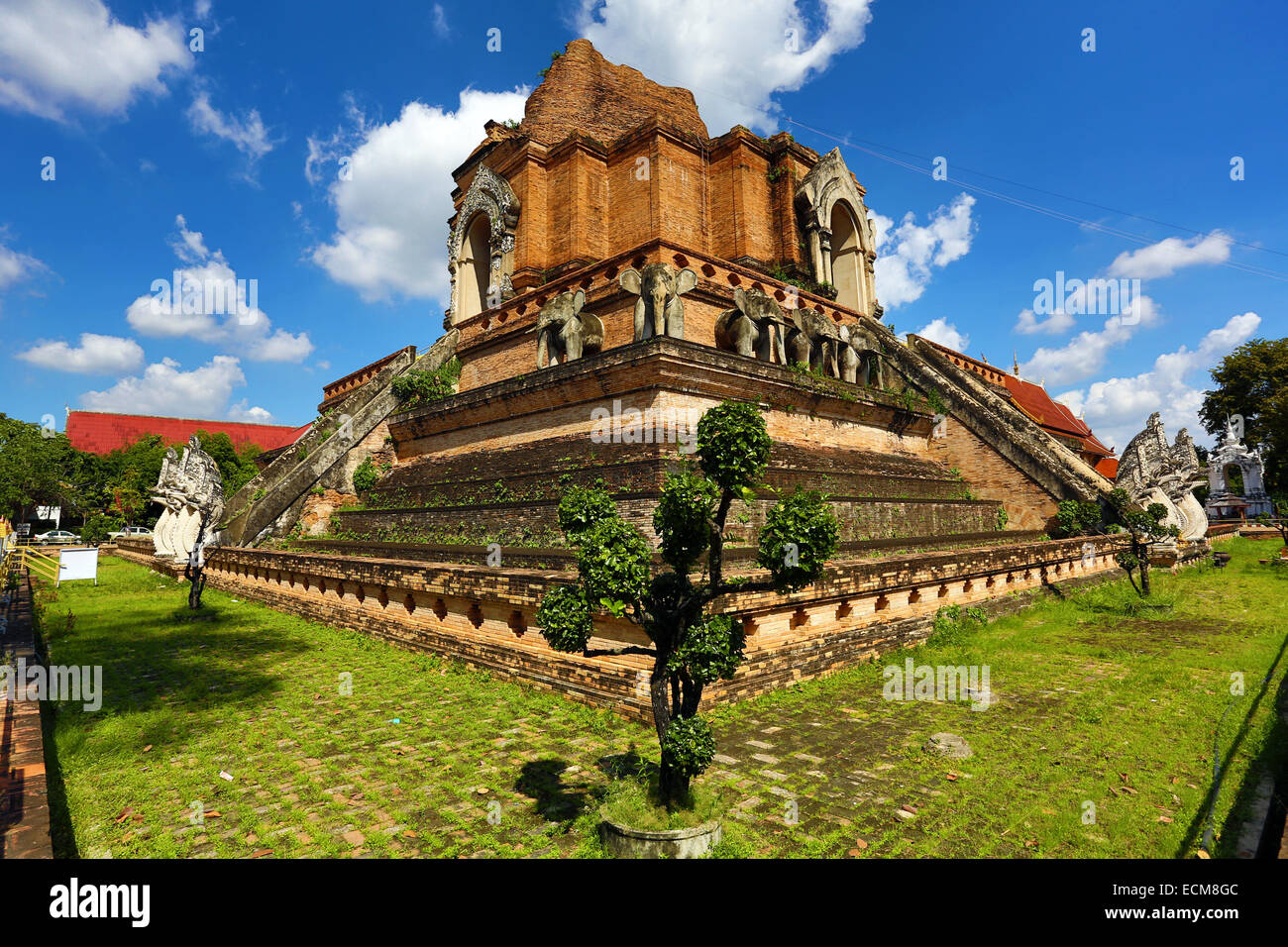 Wat Chedi Luang temple à Chiang Mai, Thaïlande Banque D'Images