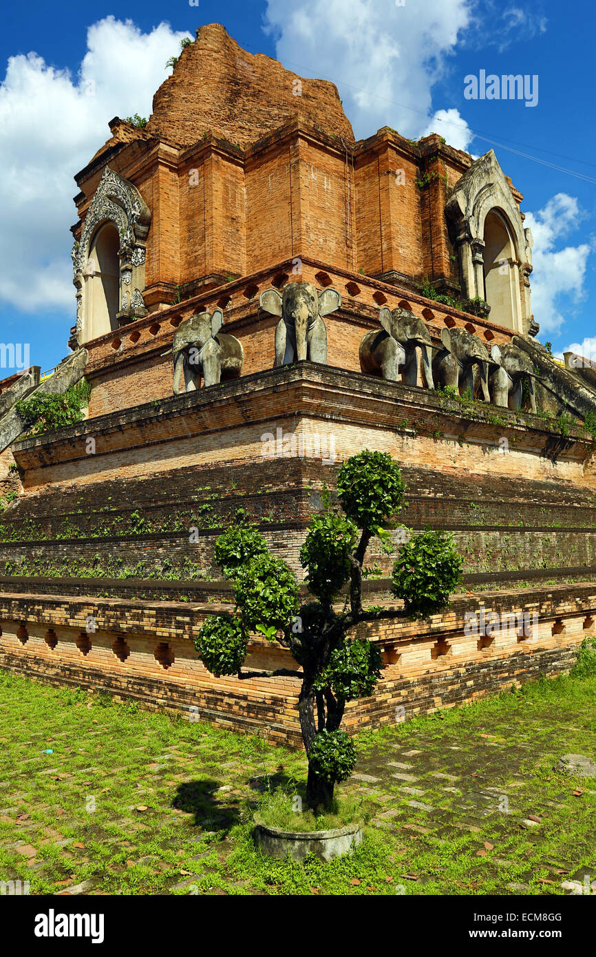 Wat Chedi Luang temple à Chiang Mai, Thaïlande Banque D'Images