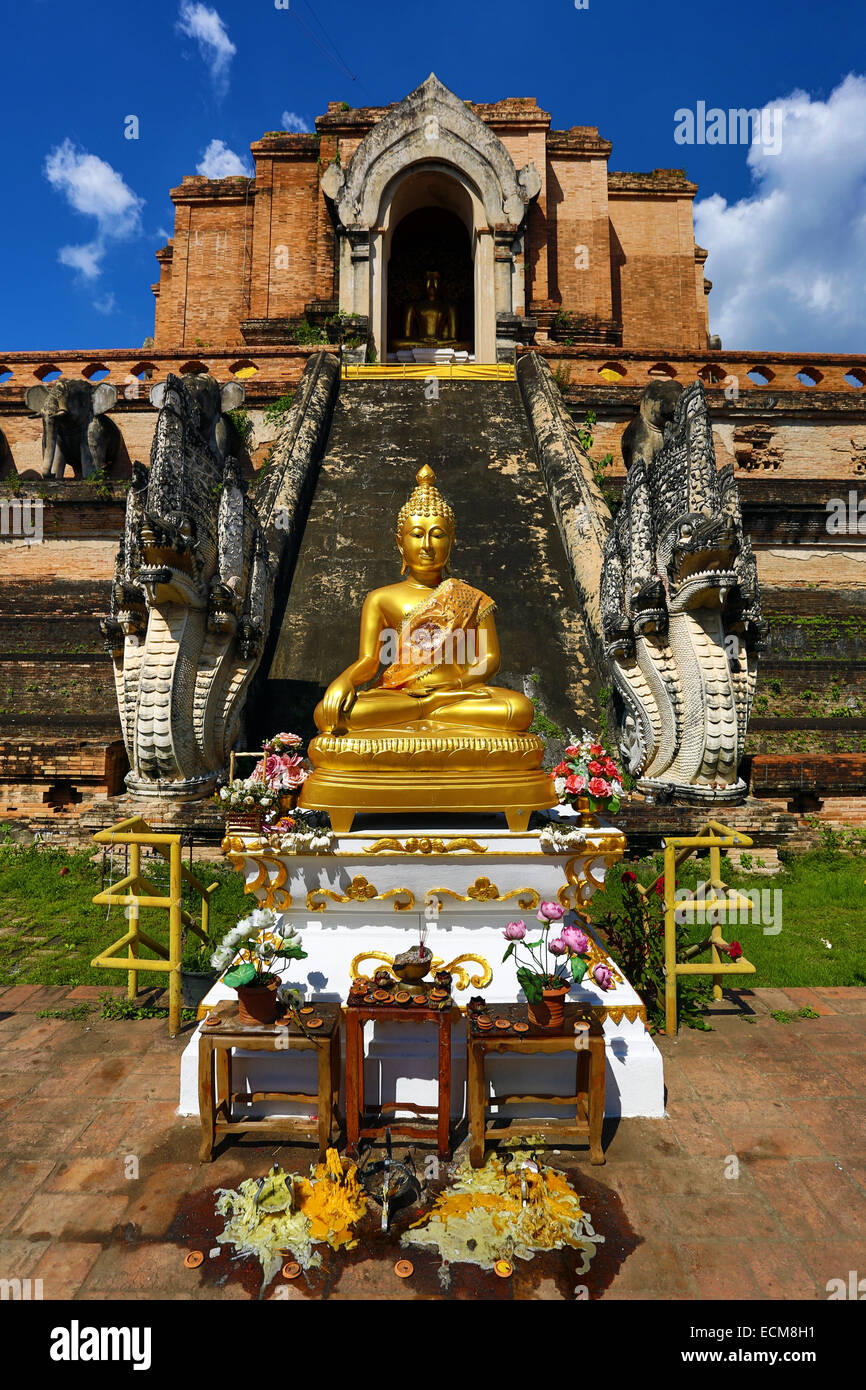 Statue du Bouddha d'or de Wat Chedi Luang temple à Chiang Mai, Thaïlande Banque D'Images