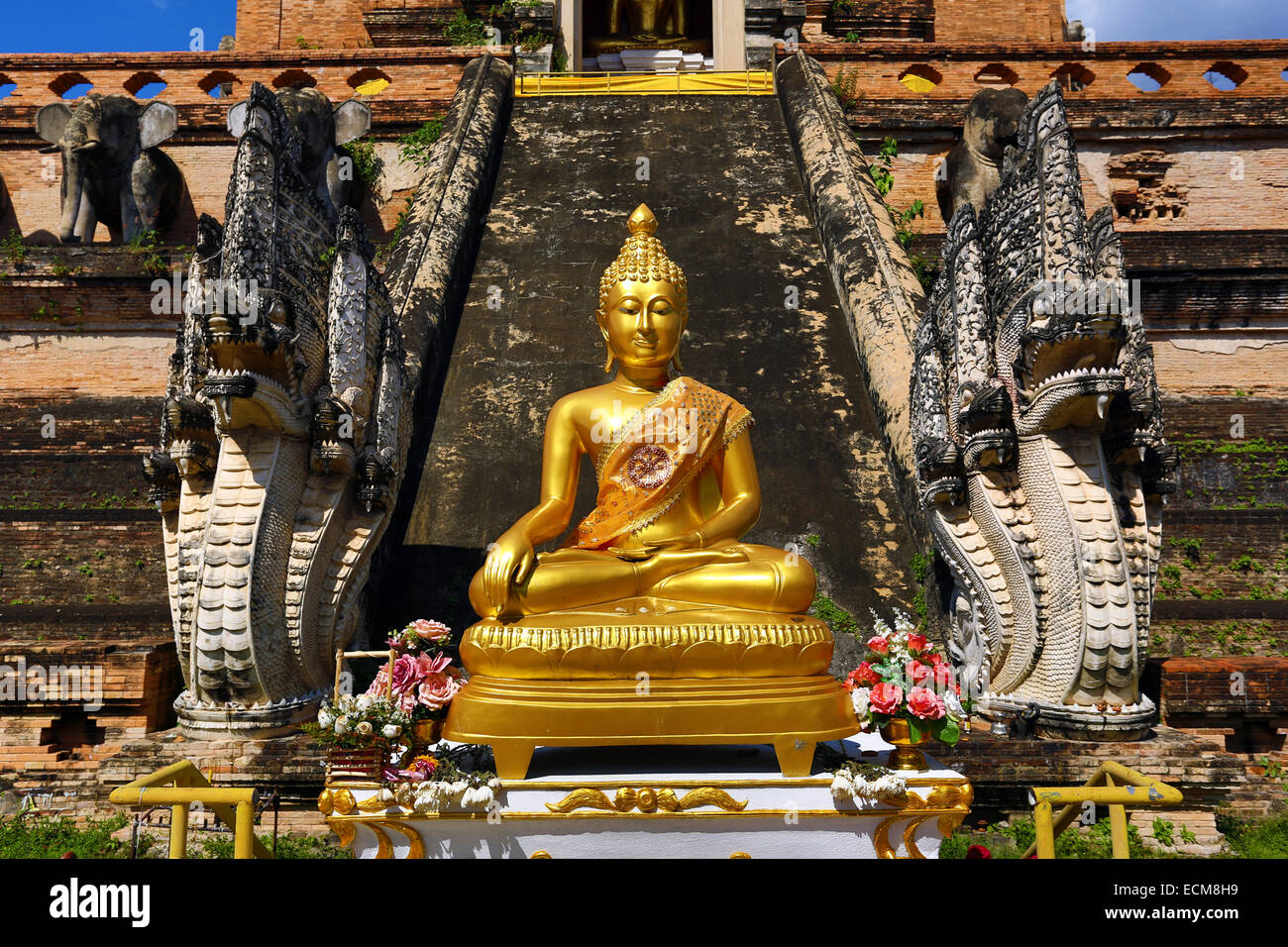 Statue du Bouddha d'or de Wat Chedi Luang temple à Chiang Mai, Thaïlande Banque D'Images