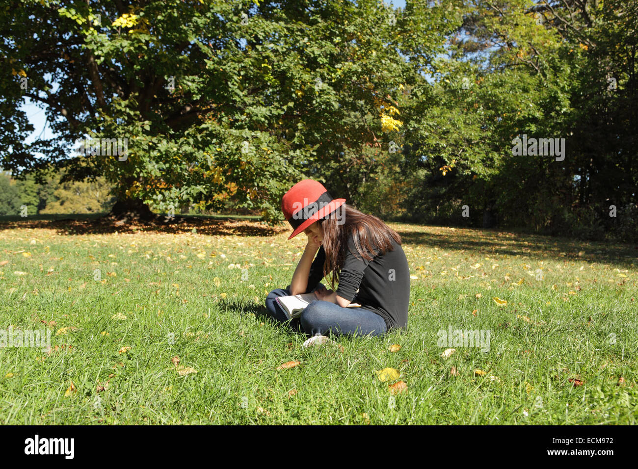 Jeune fille lisant un livre sur l'herbe sous un arbre dans un parc d'été à Brooklyn Banque D'Images