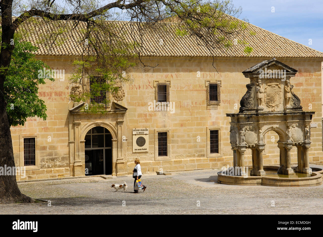 Seminario de San Felipe Neri et fontaine à la place Santa María, 16e siècle, Baeza, Jaen province, Andalusia, Spain, Europe Banque D'Images