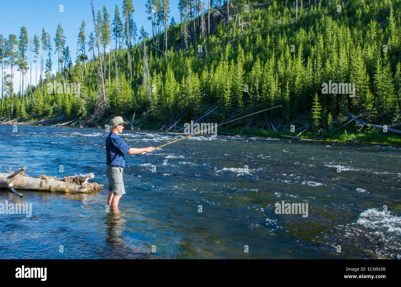 peche truite yellowstone