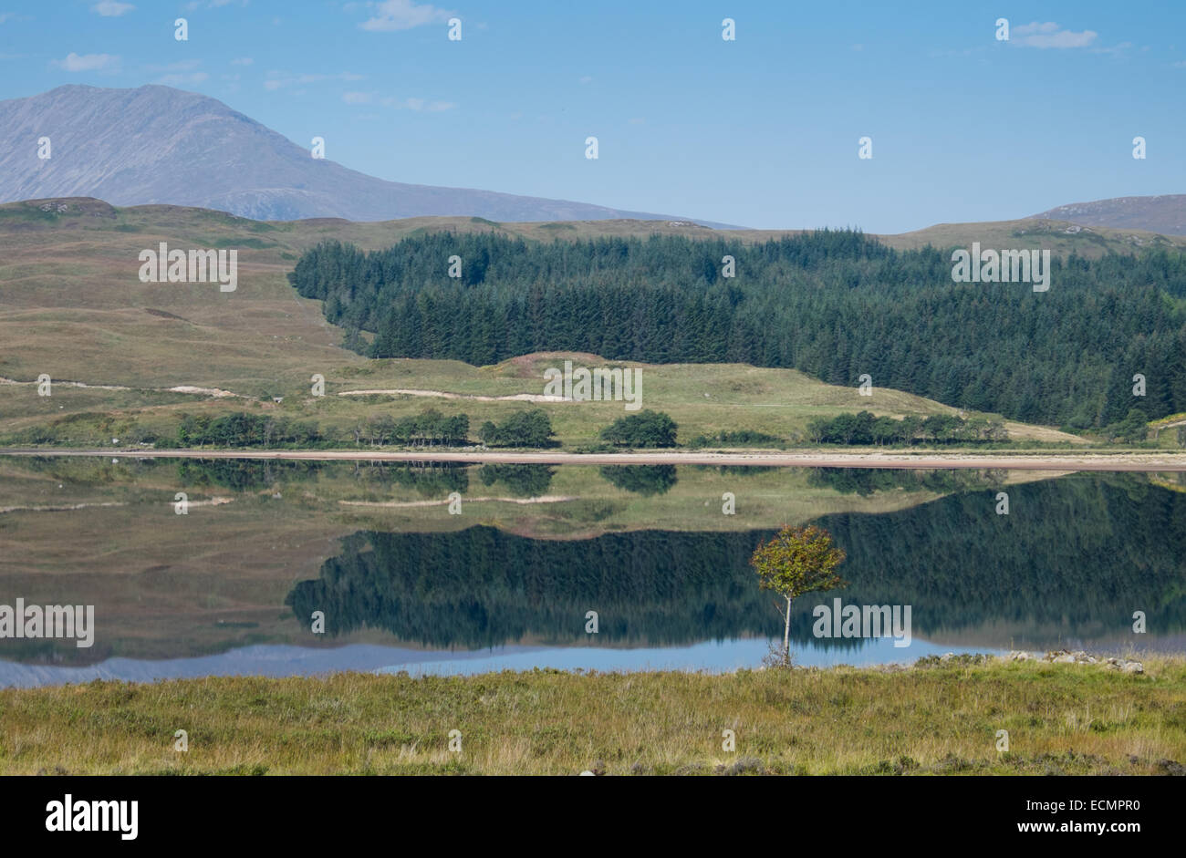 Un arbre est seul sur la rive d'un lac lisse comme un miroir qui reflète les contours Tulla des Highlands derrière Banque D'Images