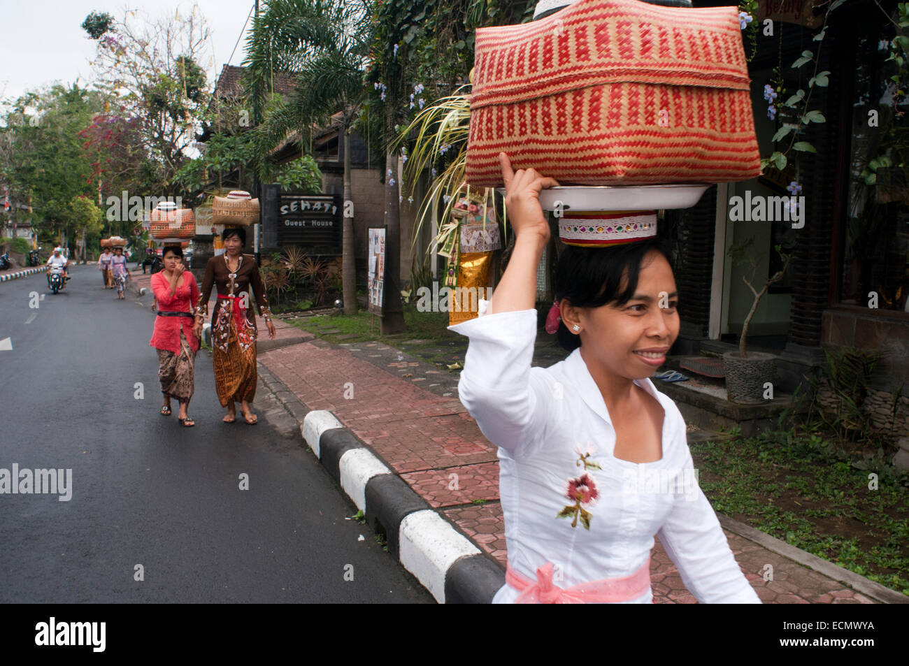 Les femmes portant des offrandes aux dieux hindous, Ubud, Bali, Indonésie. De nombreuses femmes se tournent vers le saint Livre La forêt des singes à prier et laisser des offrandes pour la fête de Galungan. Galungan festival, le plus important de Bali, symbolise la victoire de l'art dramatique (la vertu) sur le mal (Adharma). Pendant les jours que dernière parade balinais célébrations partout l'île ornée de longues cannes de bambou (penjor) décoré avec des épis de maïs, noix de coco, les gâteaux de riz et de gâteaux ainsi que des tissus blancs ou jaunes, fruits des fleurs. Cette fête est célébrée tous les 210 jours. Ubud. Bali. Banque D'Images