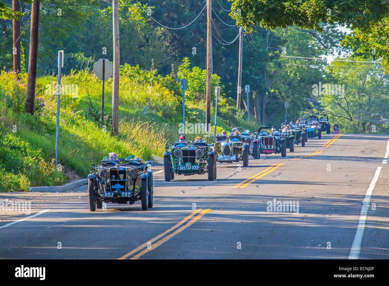 Festival Grand Prix de Watkins Glen lieu 9/5/2014 dans les rues du centre-ville de Watkins Glen dans la région des lacs Finger de New York Banque D'Images