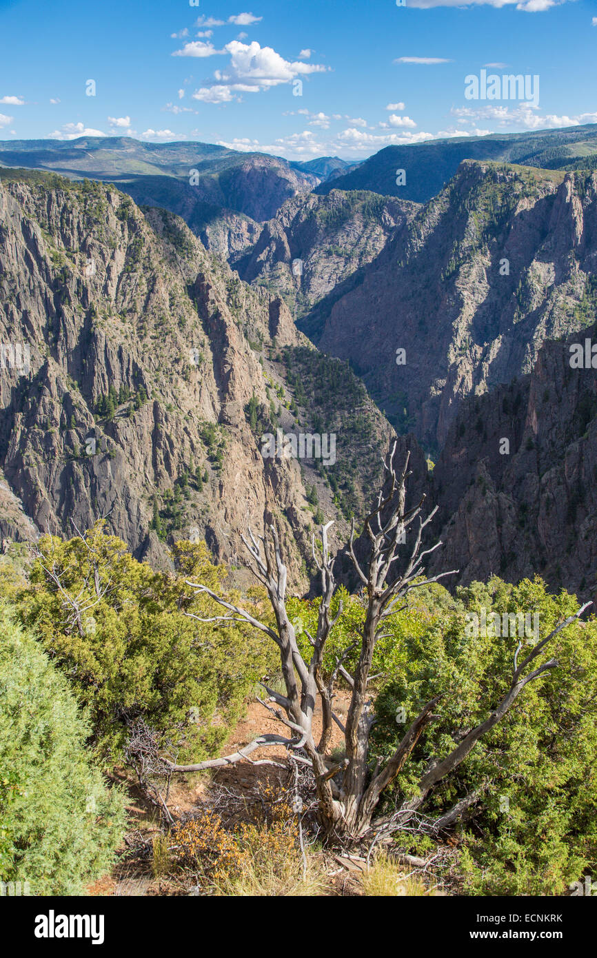 Parc National Black Canyon of the Gunnison dans l'ouest du Colorado Banque D'Images