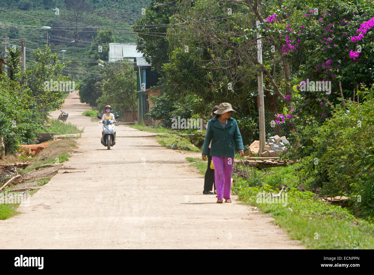 Village rural route près de Da Lat, Viet Nam. Banque D'Images