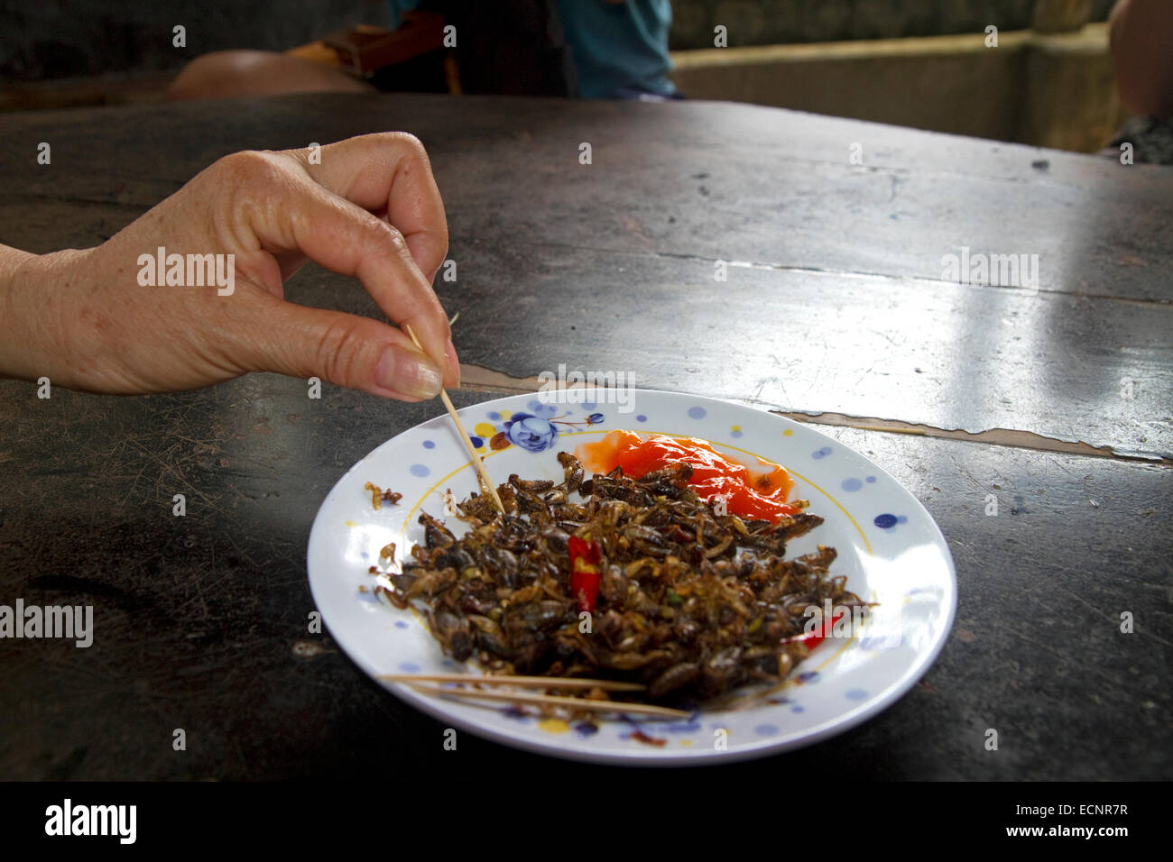 Les touristes à manger de grillons ferme dans la province de Lam Dong, au Vietnam. Banque D'Images