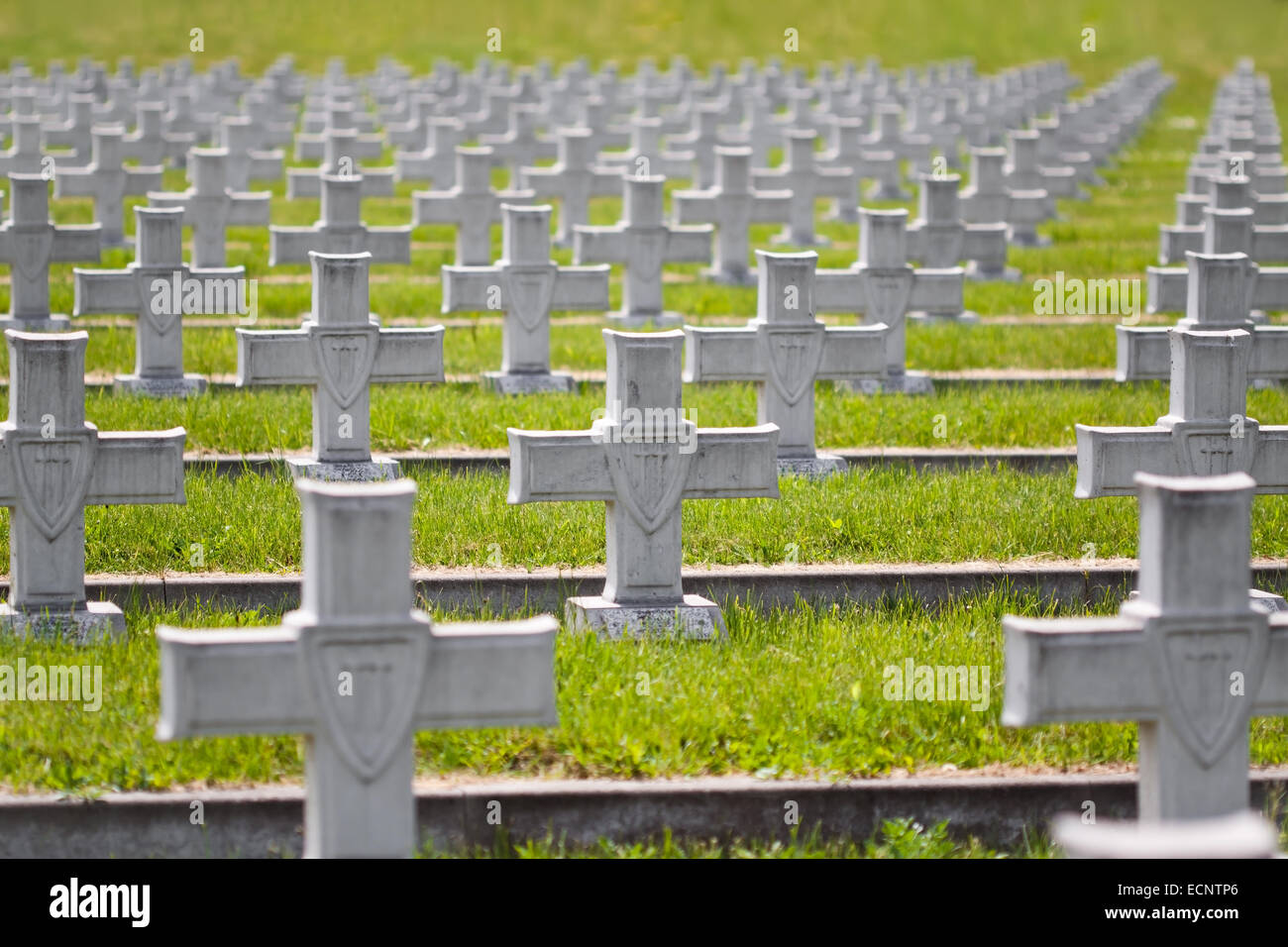 Croix du cimetière militaire de Zgorzelec, Pologne Banque D'Images