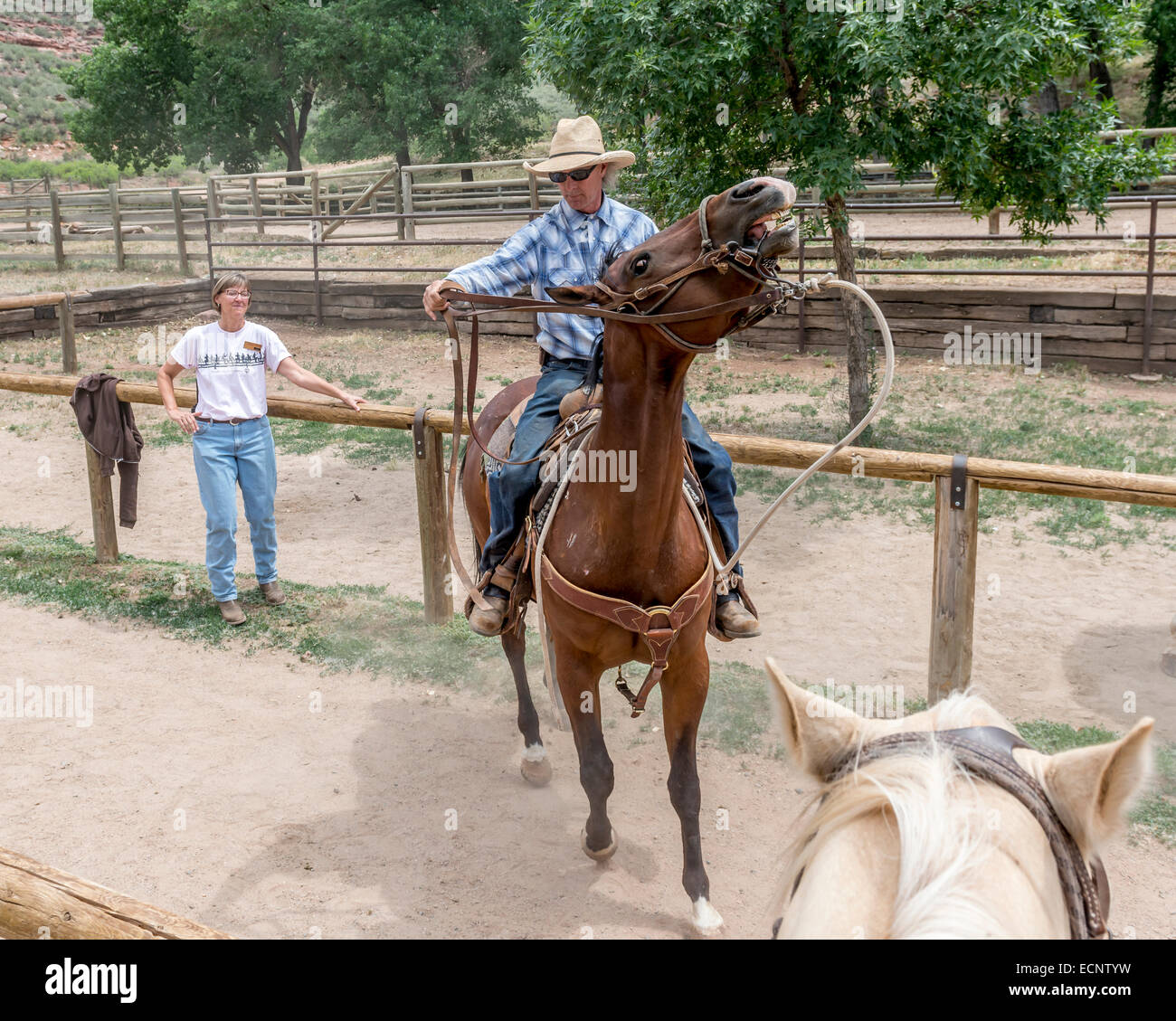L'équitation à la Dale Sylvan Guest Ranch. Le Colorado. USA Banque D'Images