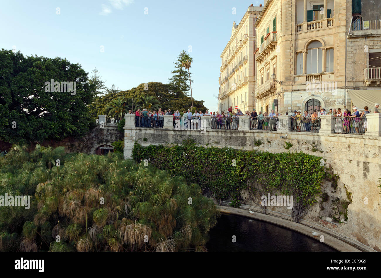 Syracuse, ITALIE - 29 septembre 2012 : les touristes regarder autour de la fontaine d'Arethusa, elle était la nymphe naïade du sacré sprin Banque D'Images