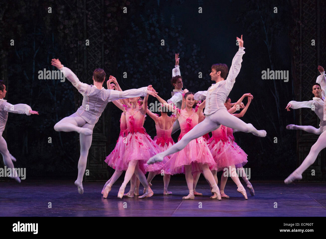 Valse des fleurs avec des danseurs de l'English National Ballet et d'étudiants de l'English National Ballet School. Répétition générale pour le ballet 'Casse-Noisette' au London Coliseum. Sur une musique de Piotr Ilitch Tchaïkovski, le ballet de Noël traditionnel est chorégraphié par Wayne Eagling basé sur un concept par Toer von Schayk et Wayne Eagling. L'English National Ballet Philharmonic Orchestra accompagne les danseurs de l'English National Ballet et d'étudiants de l'English National Ballet School. Les enfants sont les artistes interprètes ou exécutants de l'Tring Park School for the Performing Arts. Banque D'Images