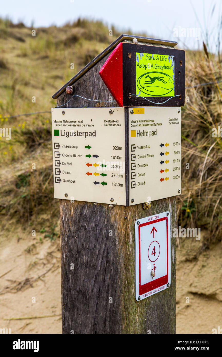 La côte de la mer du Nord en Belgique, les dunes, la réserve de Westhoek,  près de De Panne, un chemin de randonnée, poteau de signalisation Photo  Stock - Alamy