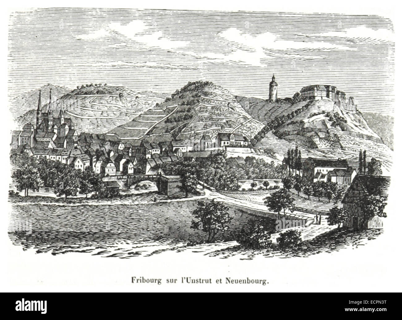 Cette illustration de 155 représente la ville de Freiburg an der Unstrut, une région d'Allemagne, reflétant l'aspect et le cadre historique de la ville au XVIe siècle. Banque D'Images