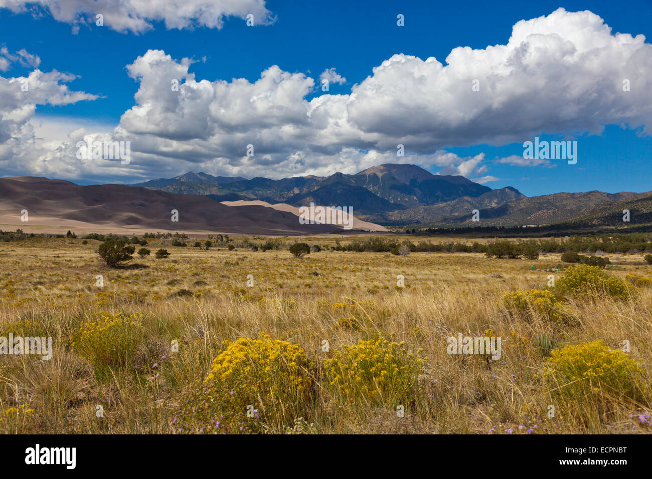 GREAT Sand Dunes National Park et les montagnes Sangre de Cristo qui font partie des Rocheuses - Colorado Banque D'Images
