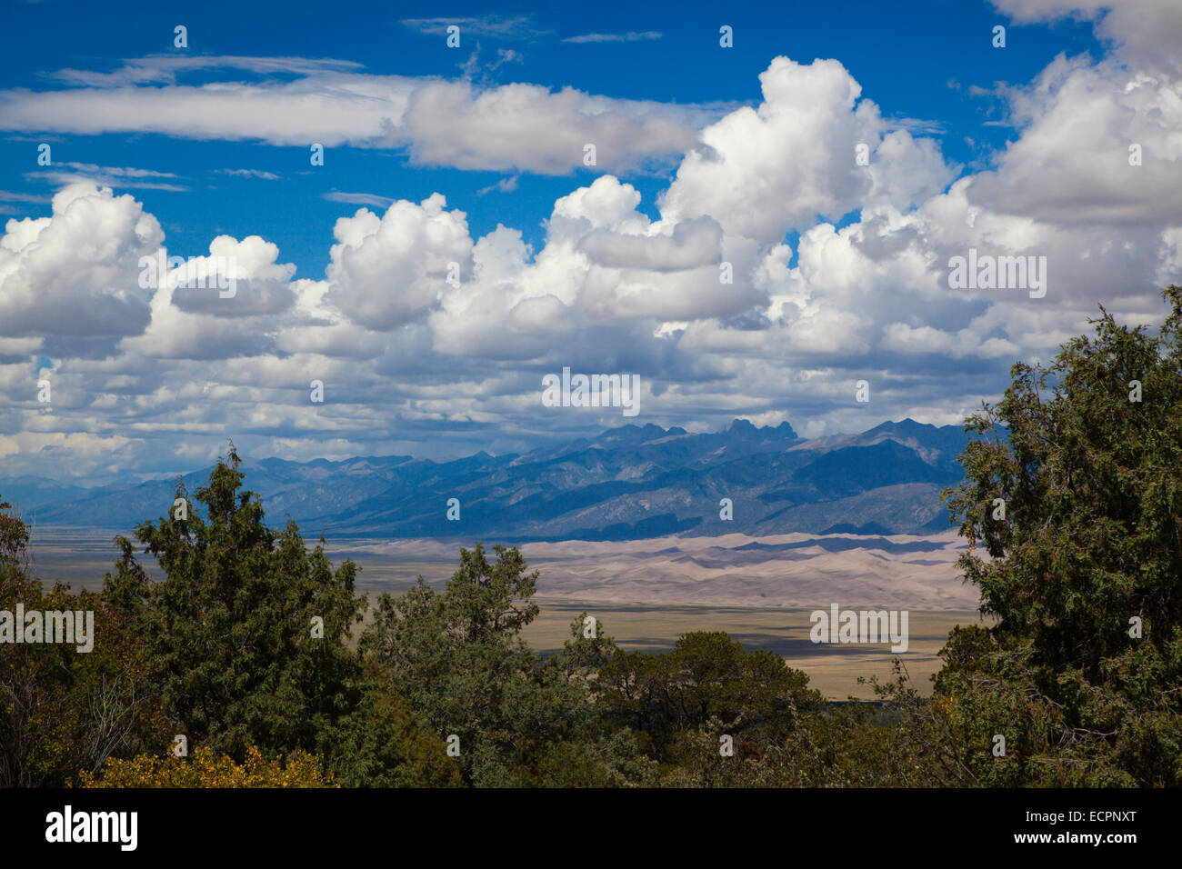 Grandes dunes NATIONAL PARK et les montagnes Sangre de Cristo - Colorado Banque D'Images