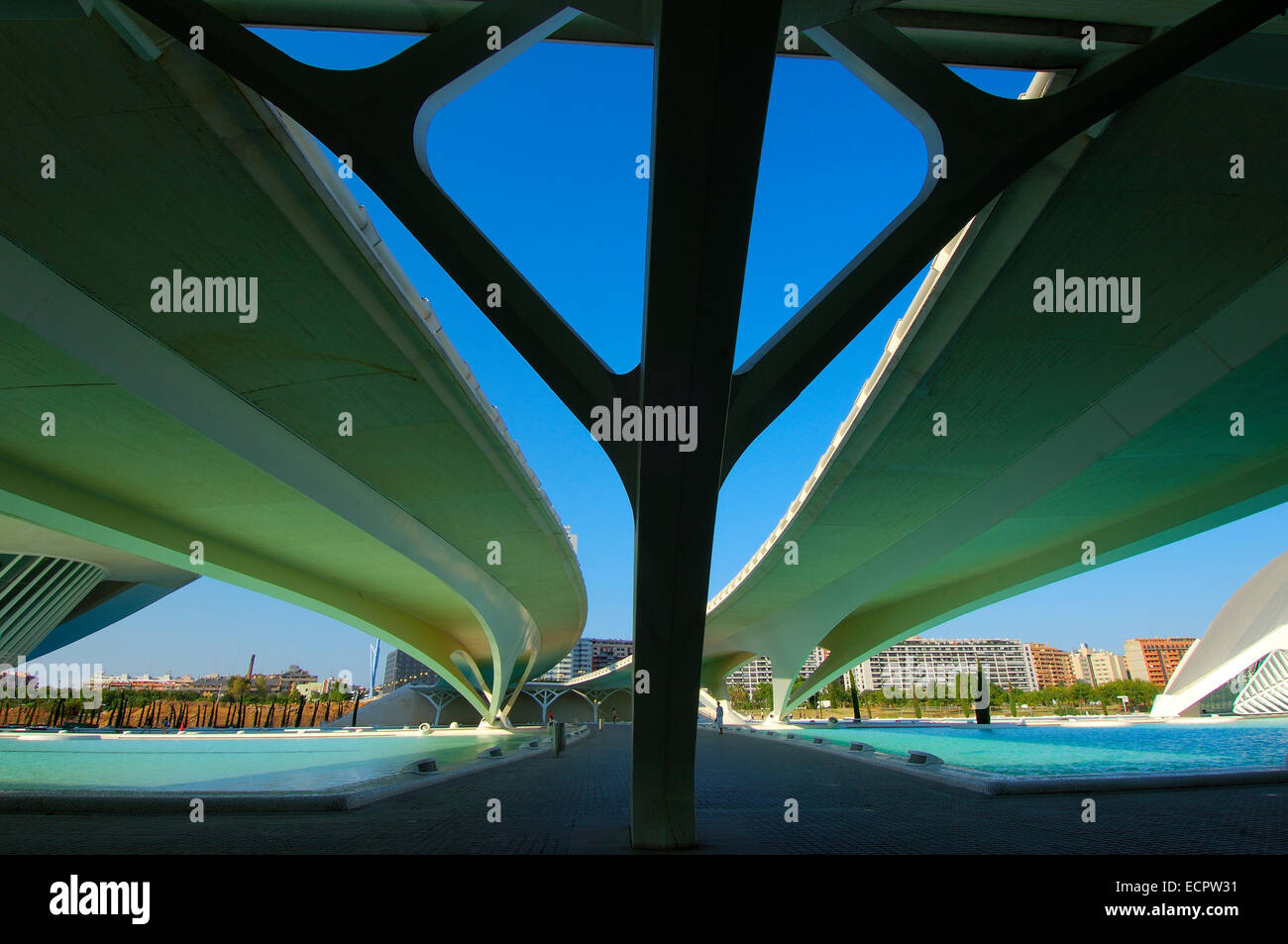 Pont Monteolivete, par S. Calatrava, Cité des Arts et des Sciences, Valence, Valence, Espagne, Europe Banque D'Images