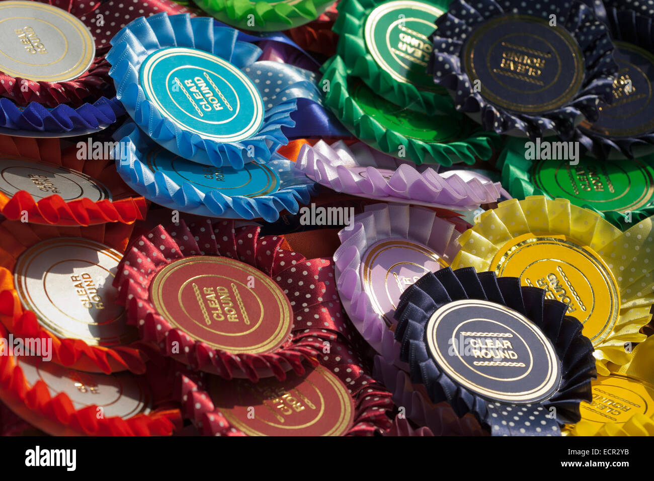 Rosettes prêt à être présenté à un poney / cheval cas au Royaume-Uni Banque D'Images