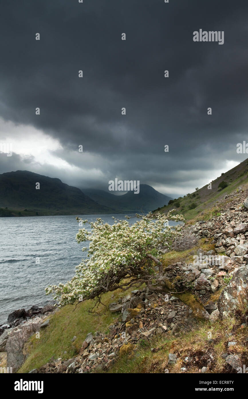 Images Du Lake District Banque D'Images