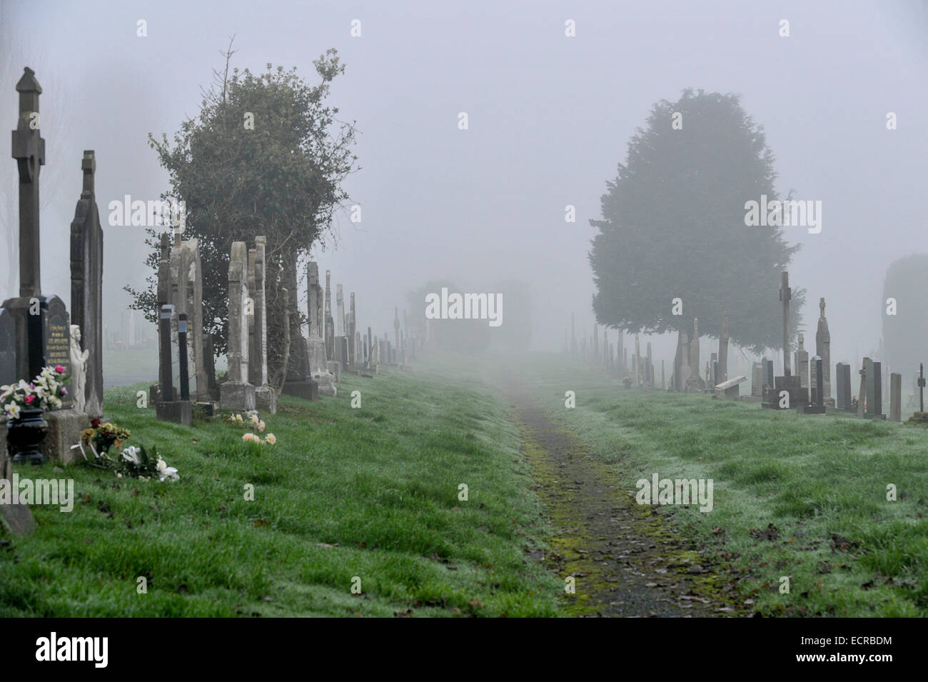 Enveloppé dans le cimetière de brouillard. Photo © George Sweeney/Alamy Banque D'Images