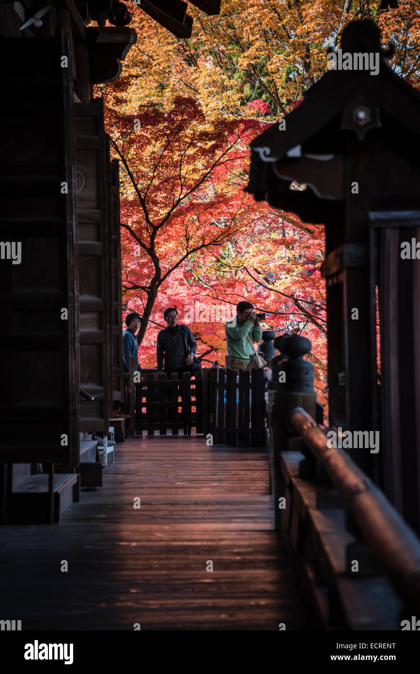 Couleurs d'automne au shinnyo-do, Kyoto, Japon. Banque D'Images