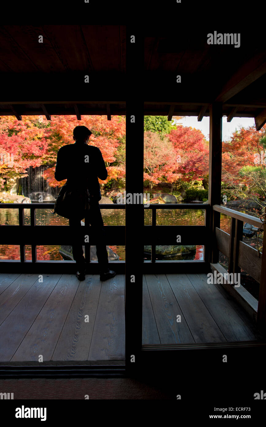 La couleur en automne à Himeji Himeji, Japon, jardin. Banque D'Images