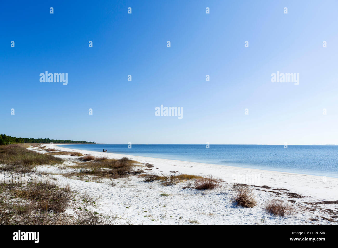 Carrabelle Beach de la route US 98 est de l'Apalachicola, Comté de Franklin, la Côte du Golfe, Florida, USA Banque D'Images