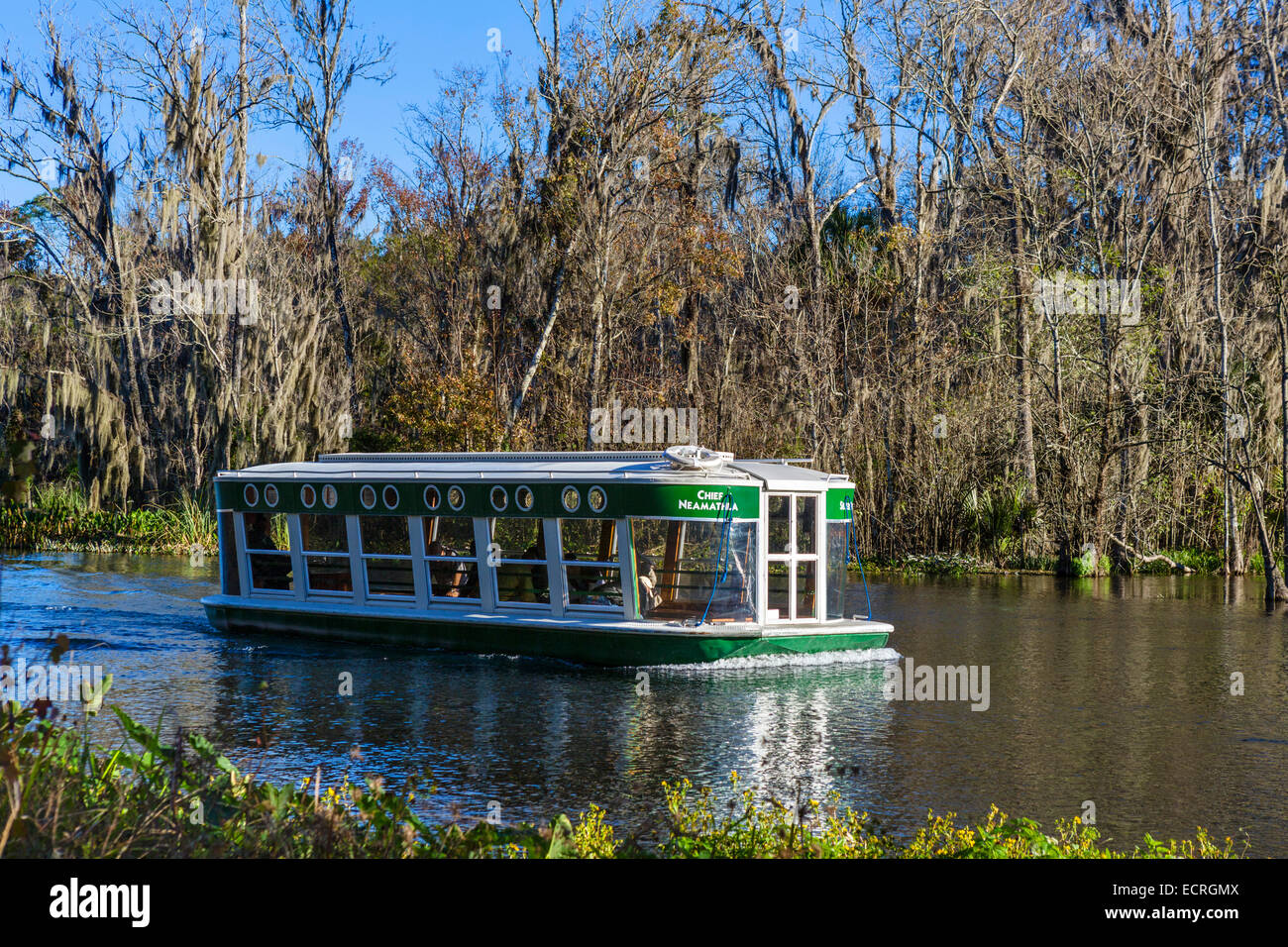Sortie en bateau à fond de verre sur la rivière d'argent de Silver Springs State Park, près de Ocala, Marion County, Floride, États-Unis Banque D'Images