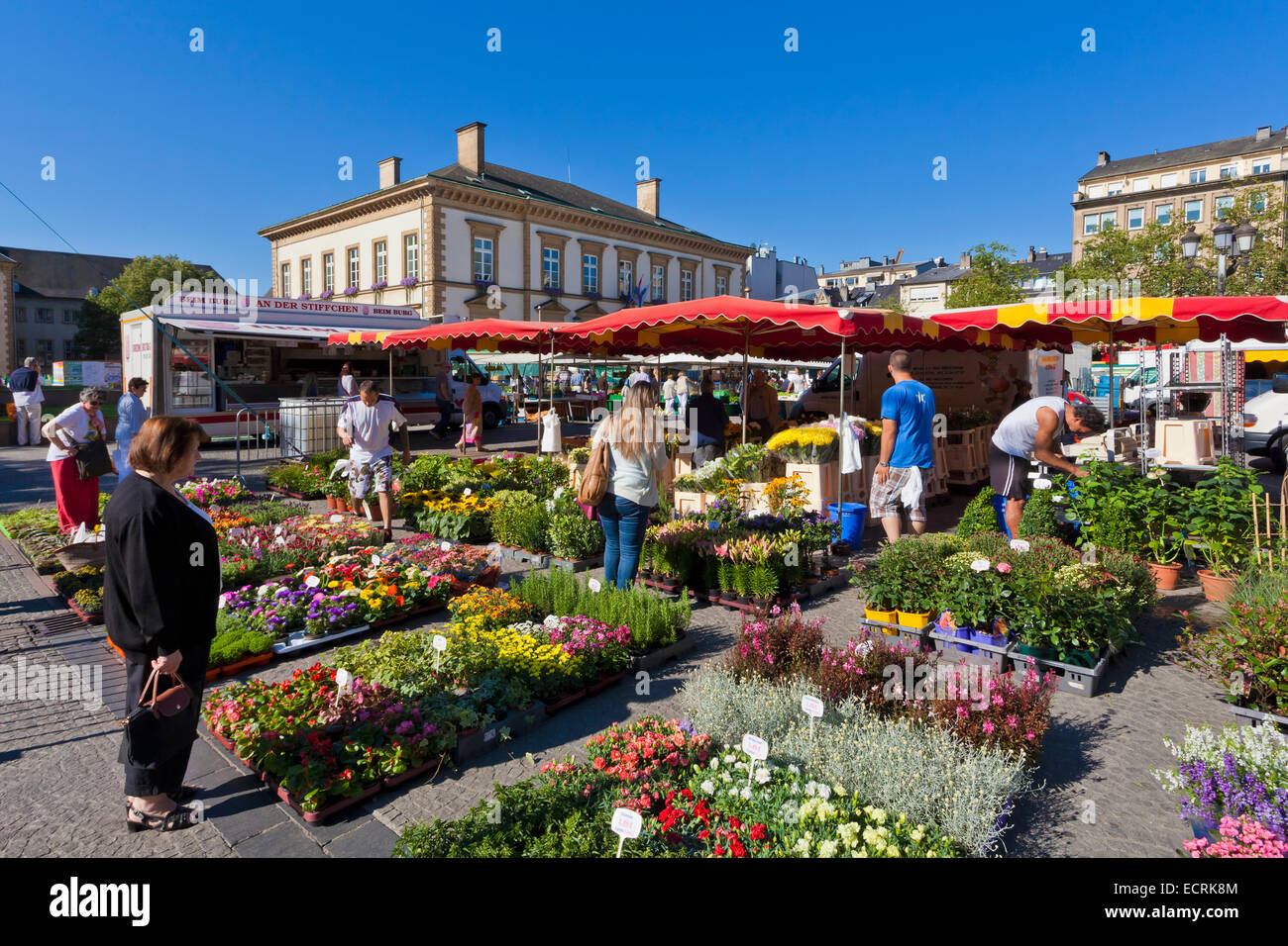 FARMER'S MARKET À PLAVE GUILLAUME II PLACE DE LA VILLE, LA VILLE DE LUXEMBOURG, LUXEMBOURG, LUXEMBOURG Banque D'Images