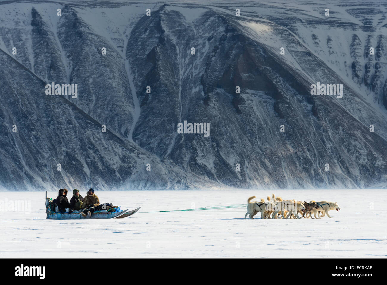 Avec une équipe de chiens de traîneau à chiens passé en courant un snow mountain Banque D'Images
