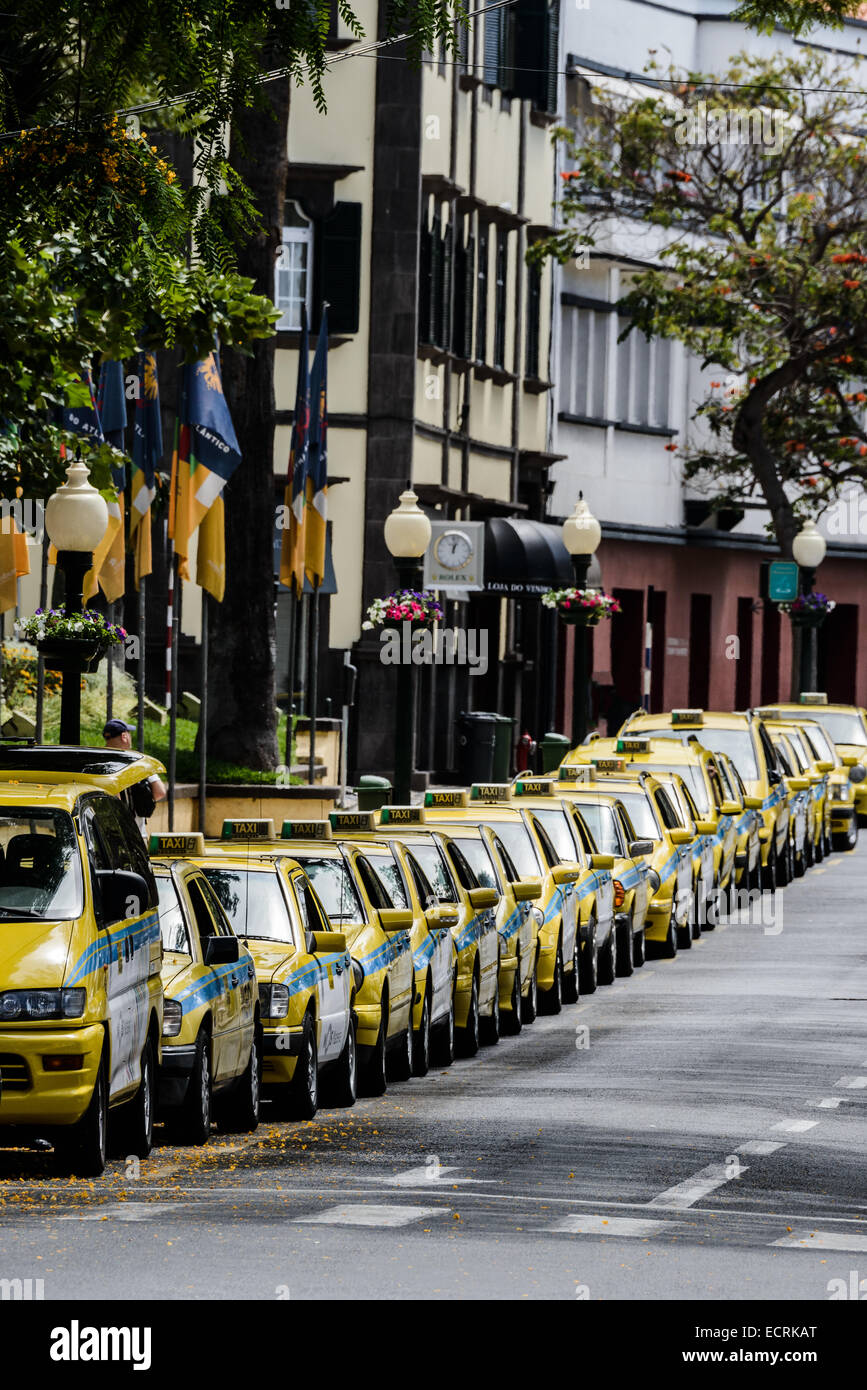 Longue rangée de taxis jaunes stationné sur une rue de la ville. Funchal, Madère. Banque D'Images