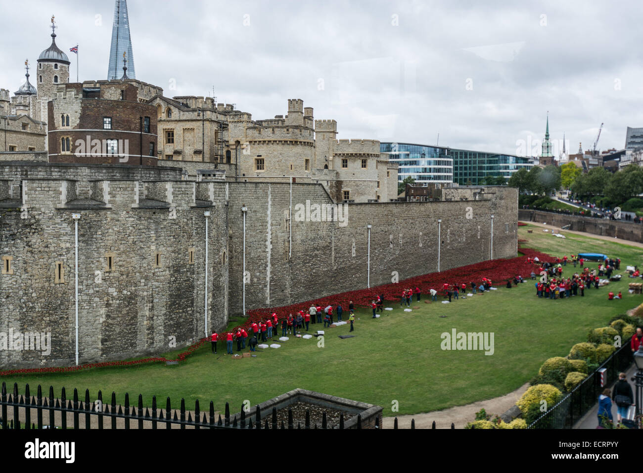 Certains des 888 246 coquelicots en céramique le 16 août 2014 Commémoration de la militaire britanniques et coloniales qui sont morts dans la Première Guerre mondiale 1914-1918, installé à la Tour de Londres, UK Banque D'Images