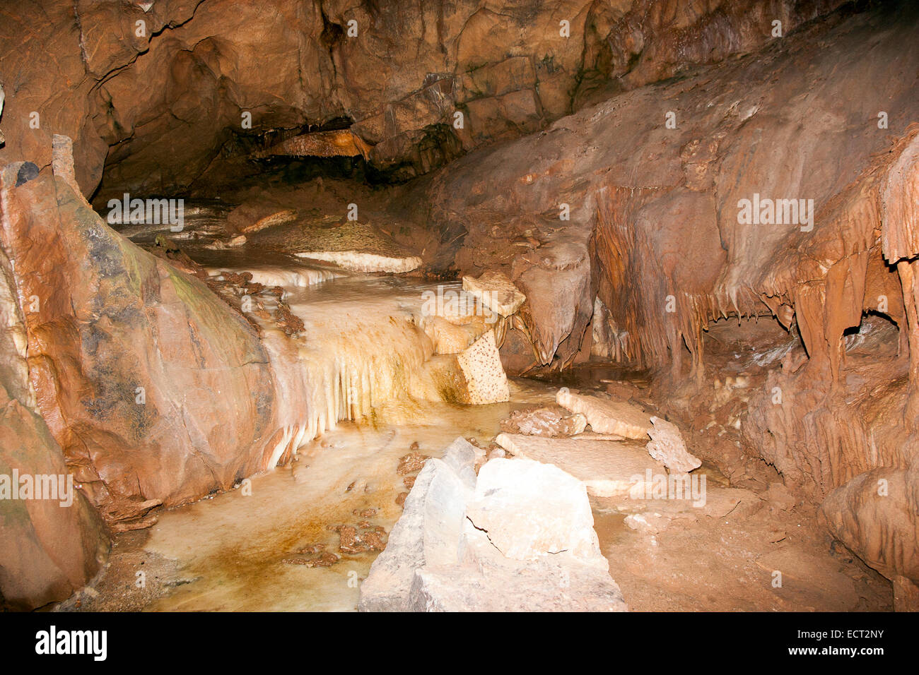 Cheddar Gorge Angleterre Somerset Banque D'Images