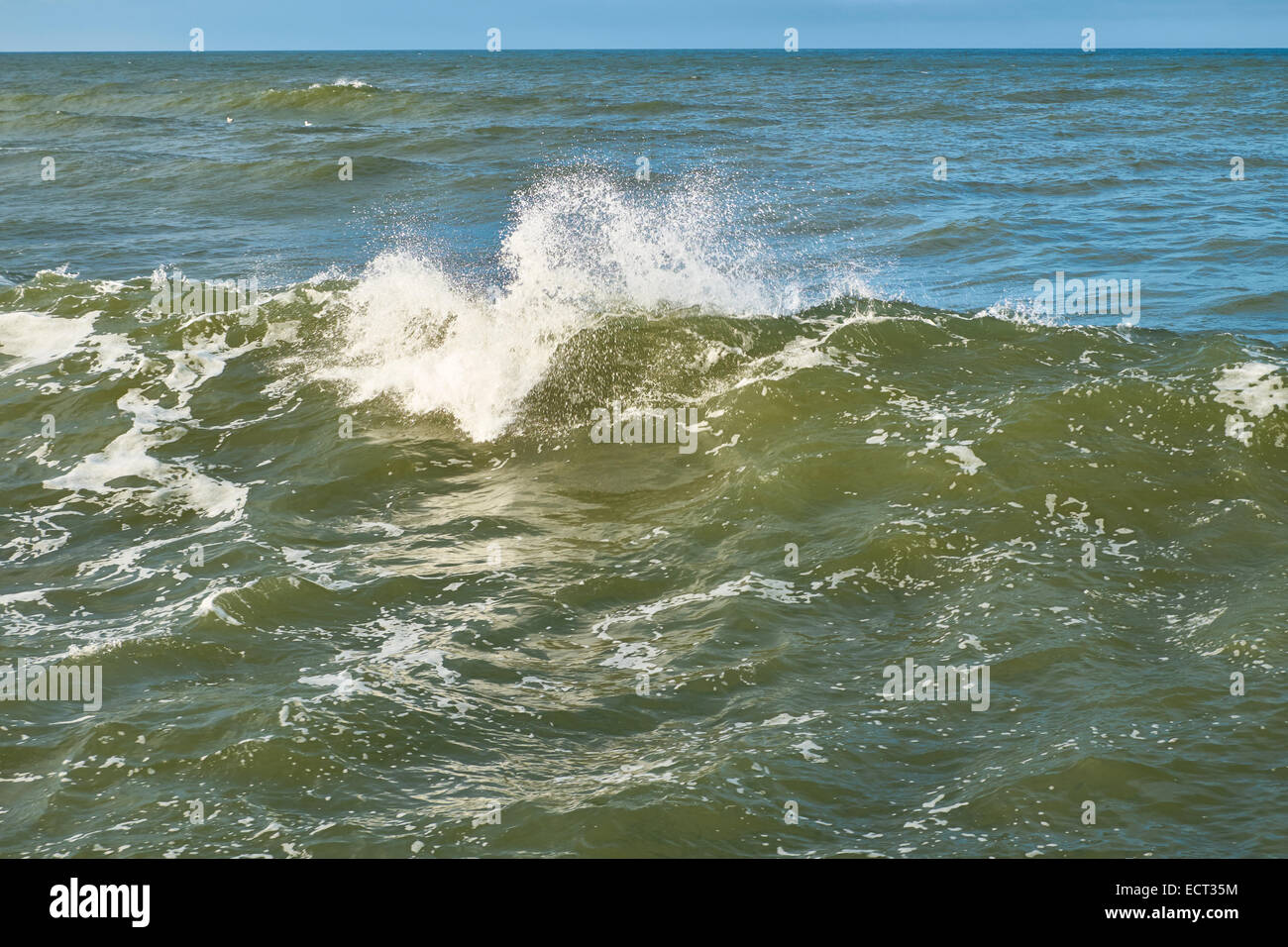 Mer Baltique, vagues puissantes sur une plage d'écrasement Banque D'Images