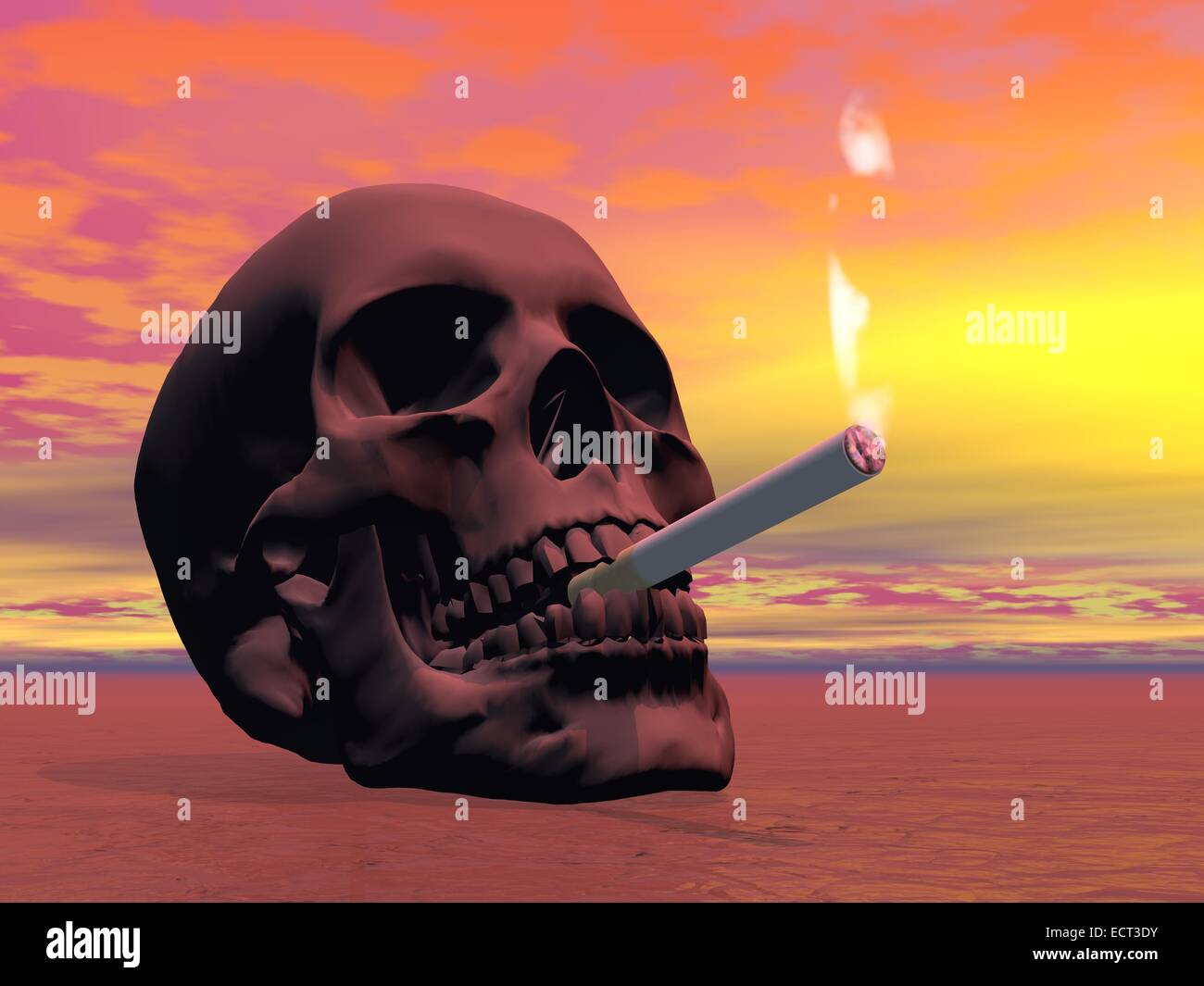 Sur le terrain du crâne de fumer une cigarette par sunset light Banque D'Images