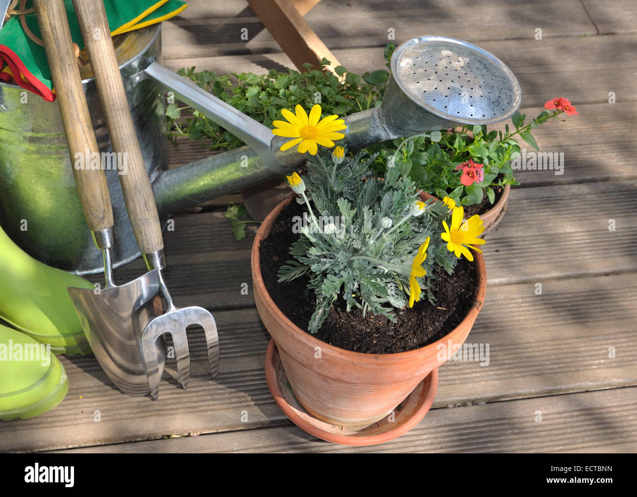Les pots de fleurs et accessoires de jardinage à terrace Banque D'Images